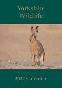 2022 Wildlife Calendar