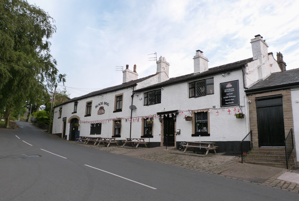Black Dog, Belmont
