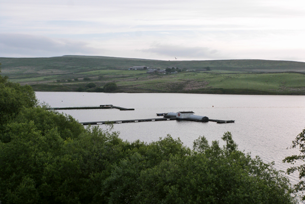 Belmont Reservoir