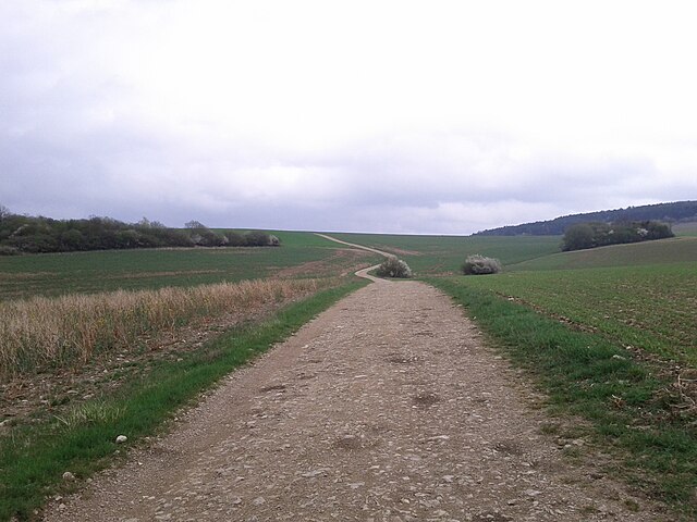 White road at Bligny