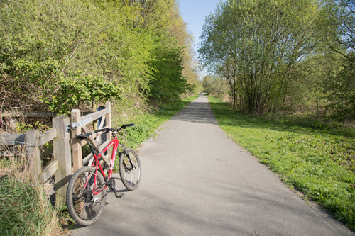 Path across Bootham Stray