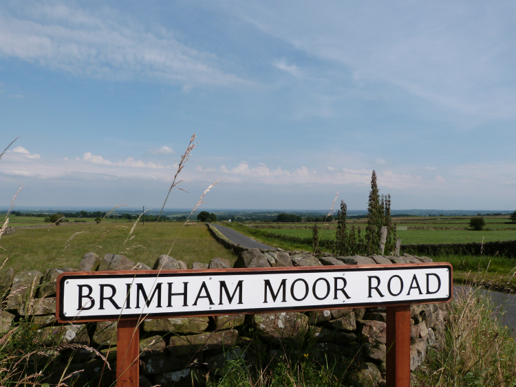 Brimham Moor Road