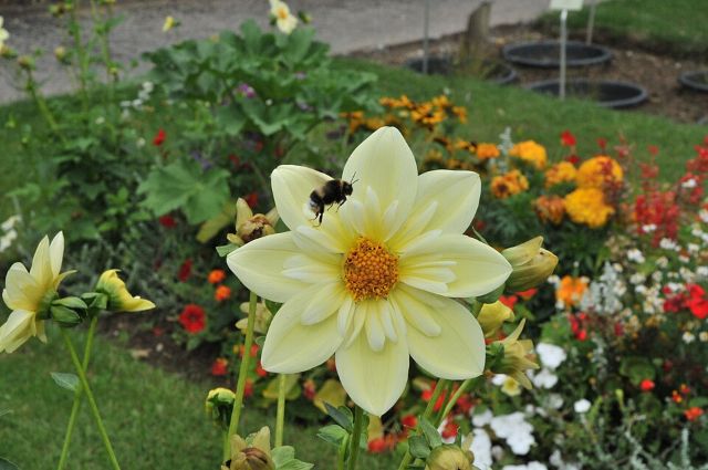 Caen Jardin des Plantes