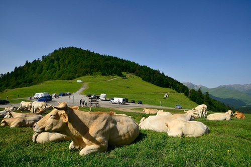 Col d'Aspin