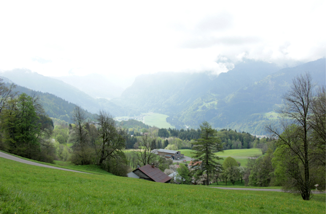 Col de la Joux Plane, lower down