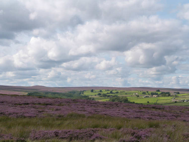 Dallowgill