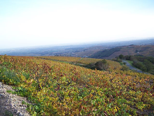 Col de Durbize