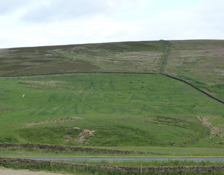 Fields of Vision 'All Kings are Temporary' Fields of Vision 'All Kings are Temporary'