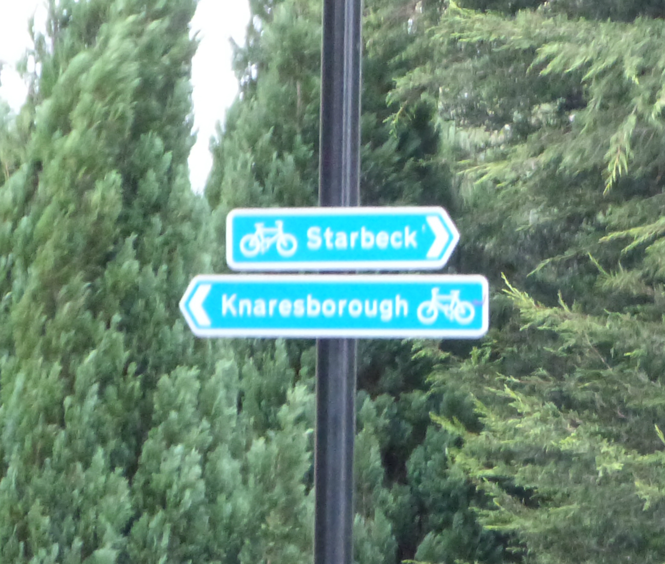 Cycle signs on Forest Lane