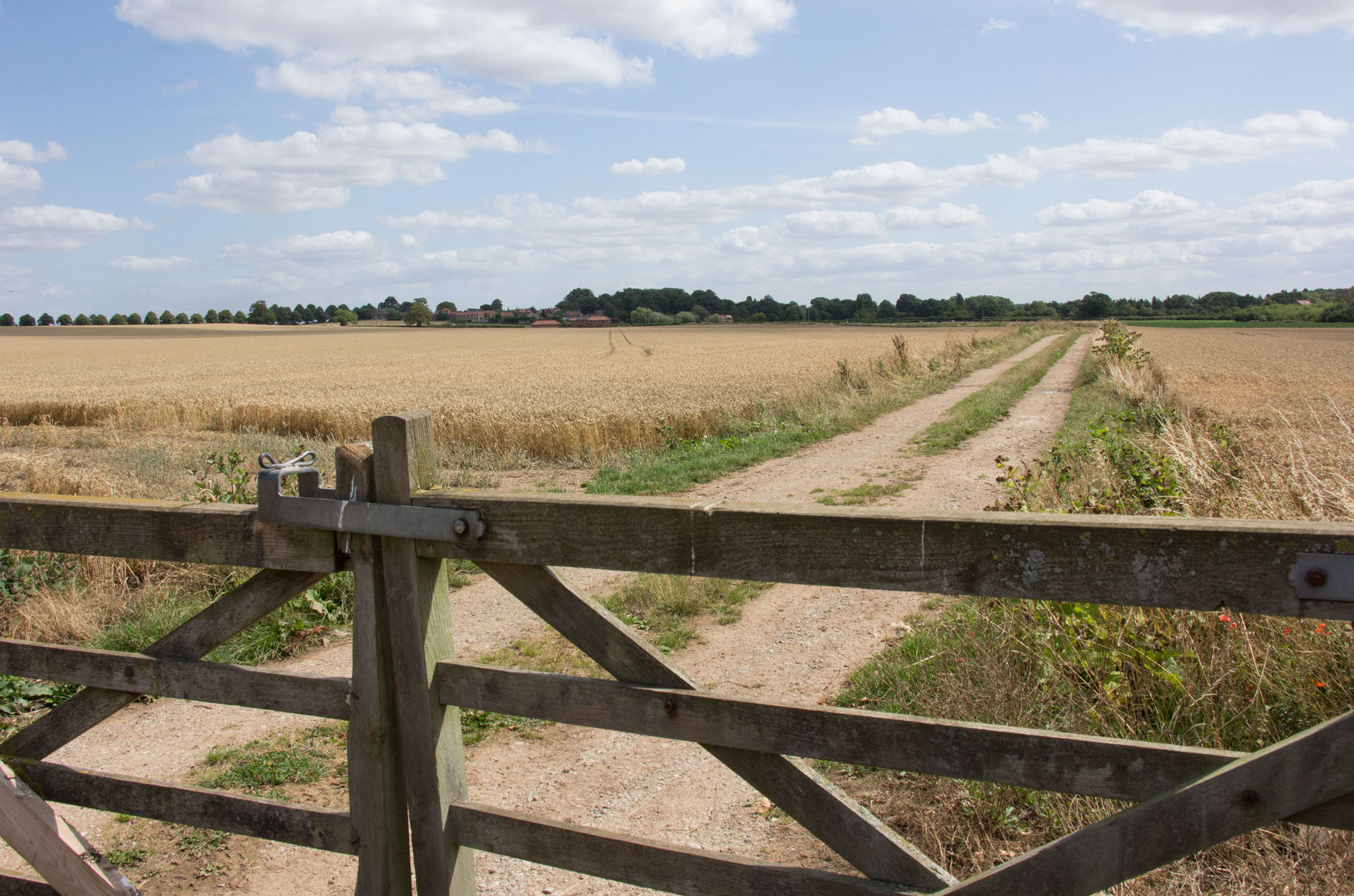 View towards Goldsborough