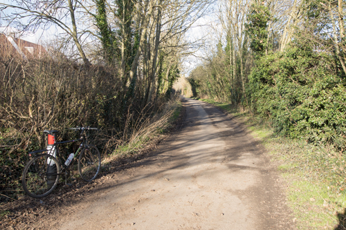 Metcalfe Lane