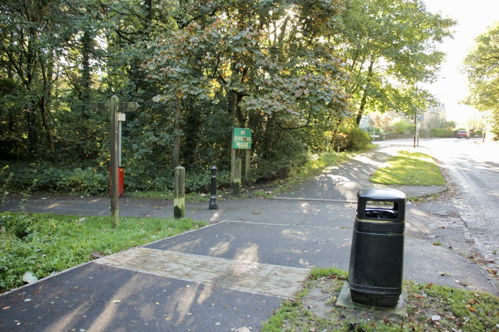 Harlow Moor Road, pavement