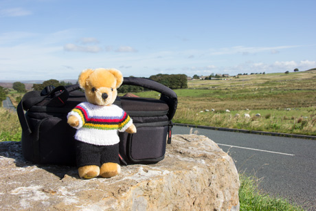World Champion bear at Greenhow Hill