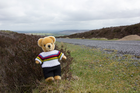 World Champion bear at the top of Lofthouse climb