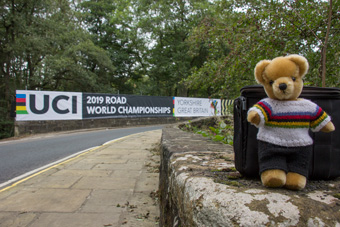 World Champion bear on Penny Pot Lane