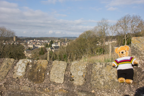 World Champion bear at Richmond