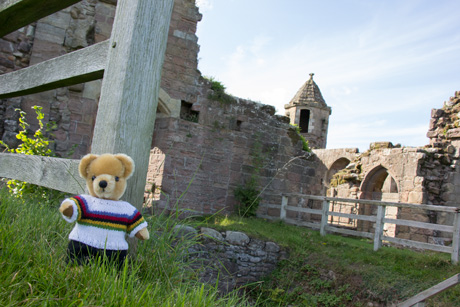 World Champion bear at Spofforth Castle