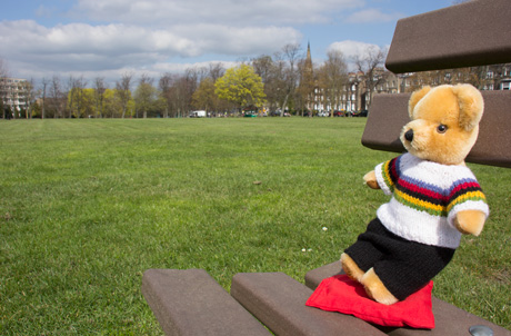 World Champion bear on West Park Stray, Harrogate