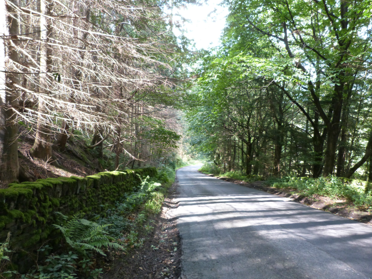 Road through Hebden Wood