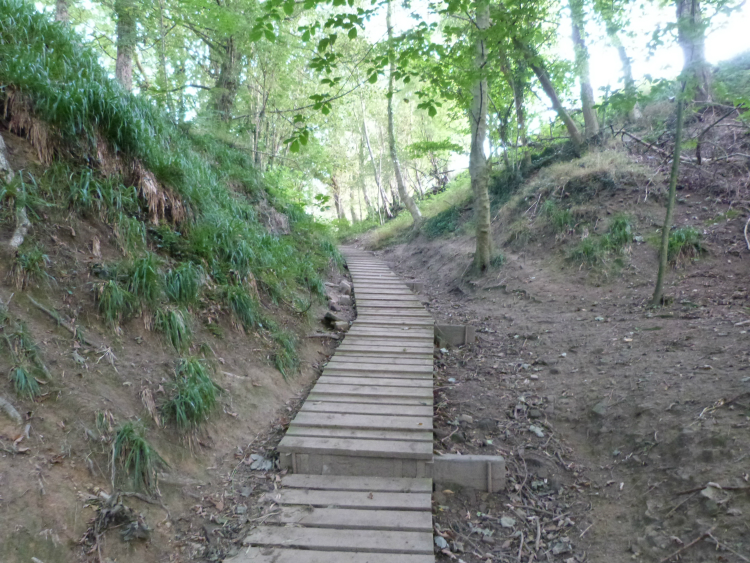 Wooden boarded section of bridleway