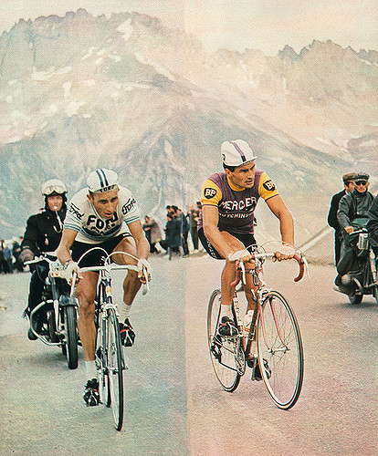 Anquetil & Poulidor