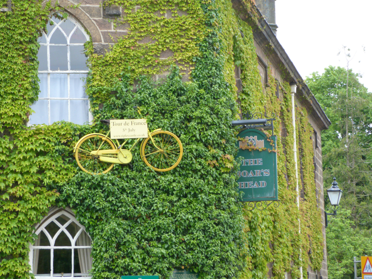 Boar's Head, Ripley