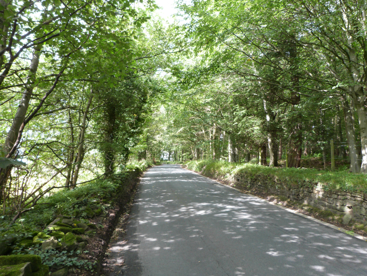 Road near Grantley Hall