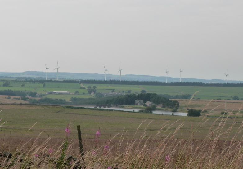 Scargill reservoir