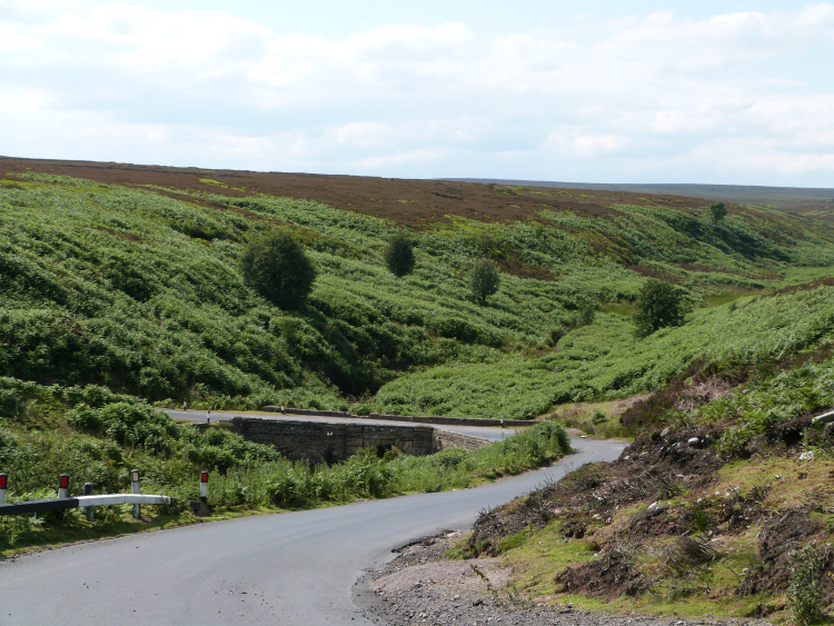 Bridge over Skell Gill