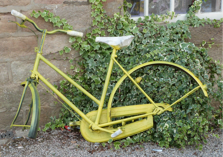 Yellow bike Yellow bike