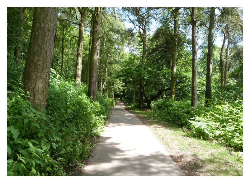 Yorkshire Showground Greenway